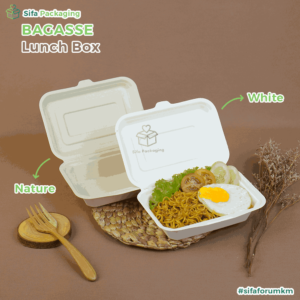 bagasse lb 7x5 3_11zon