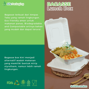 bagasse lb 8 _ 9 inch 2_15_11zon