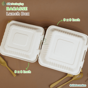 bagasse lb 8 _ 9 inch 3_16_11zon