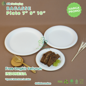 bagasse plate 1