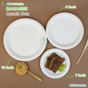 bagasse plate 3