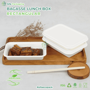 bagasse rectangular 1_2_11zon