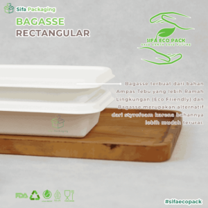 bagasse rectangular 2_3_11zon