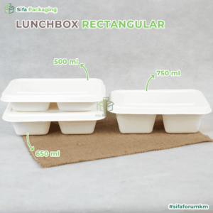 bagasse rectangular skt 2 3_1_11zon