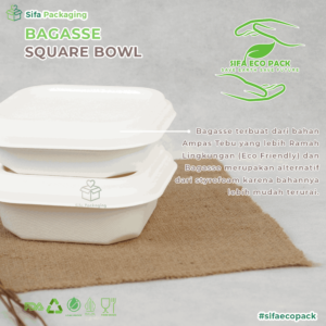 bagasse square bowl 2_1_11zon