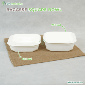 bagasse square bowl 3_2_11zon