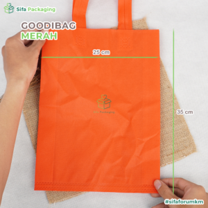 goodibag 25x35 10